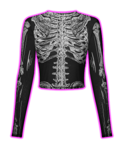 ANATOMY OF THE HUMAN SKELETON MESH TOP